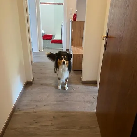 Granat Apartamento *